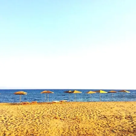 Sealand House Near The Sandy Beach, Parking & Wifi