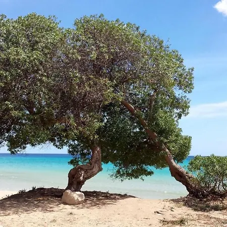 Sealand House Near The Sandy Beach, Parking & Wifi * Avola