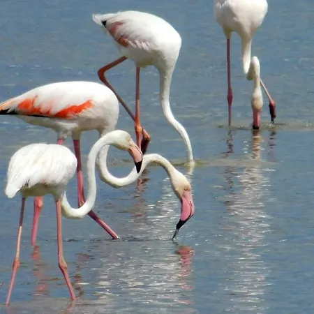 Sealand House Near The Sandy Beach, Parking & Wifi