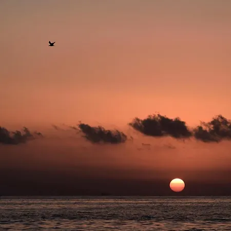 Sealand House Near The Sandy Beach, Parking & Wifi Casa de Férias *